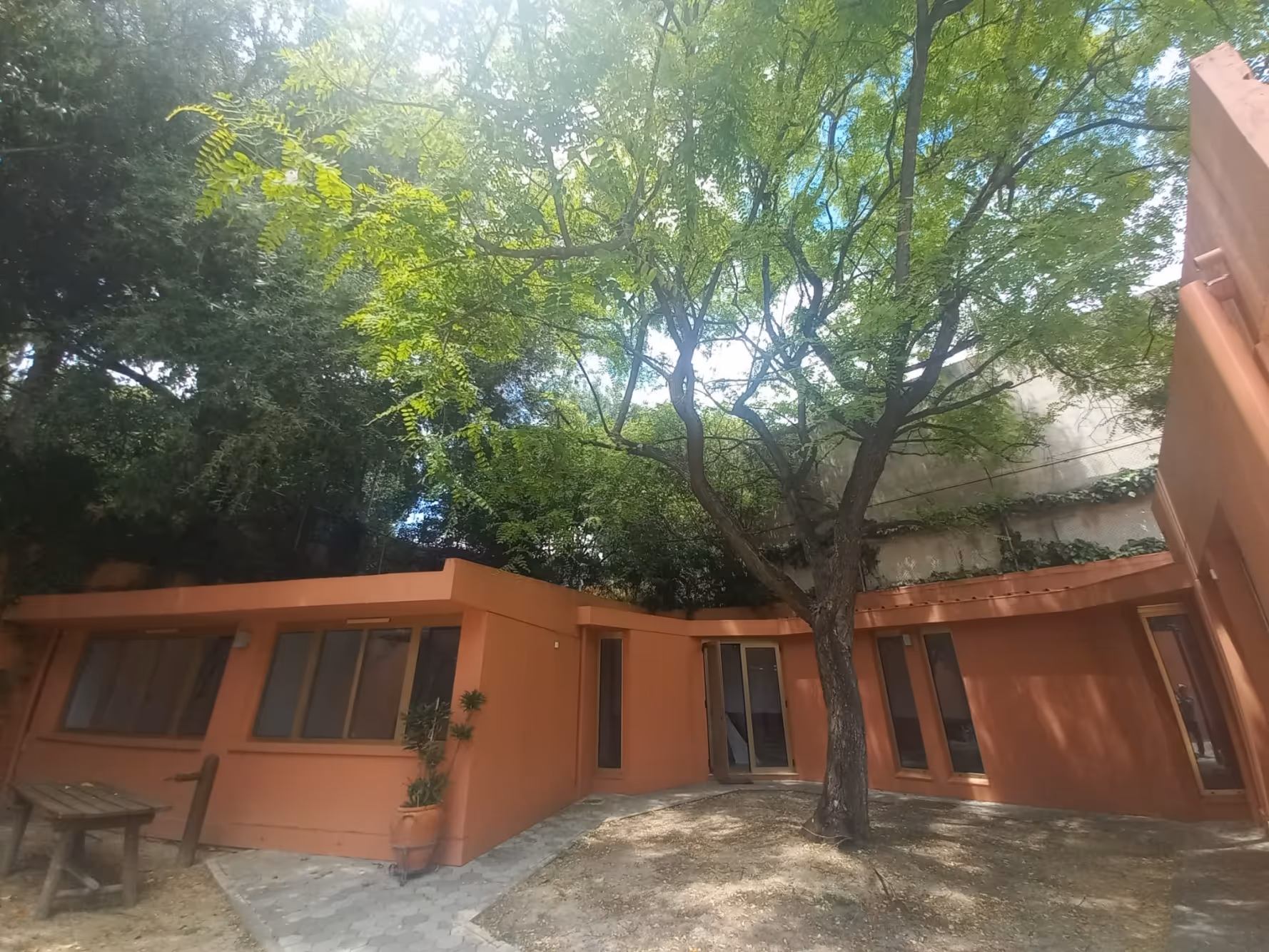 Orange stucco building with large windows around a courtyard with a tall tree and sunlight above.